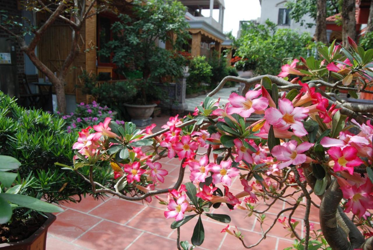 Tam Coc Tropical Garden Hotel Ninh Binh Exterior foto