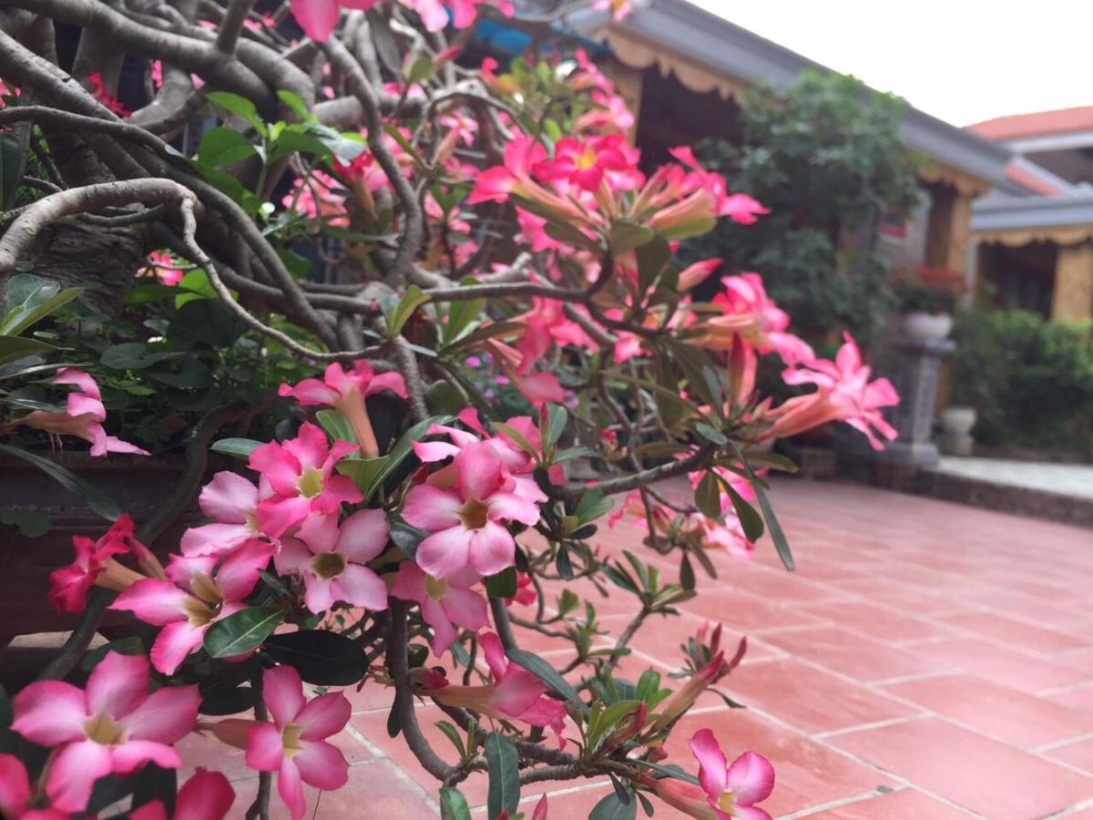 Tam Coc Tropical Garden Hotel Ninh Binh Exterior foto